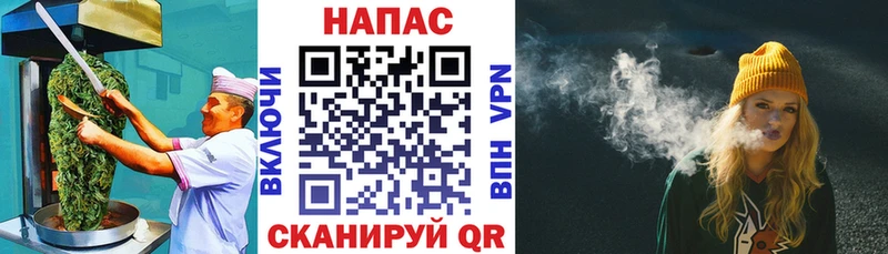 блэк спрут зеркало Гатчина Cannafood конопля наркотики