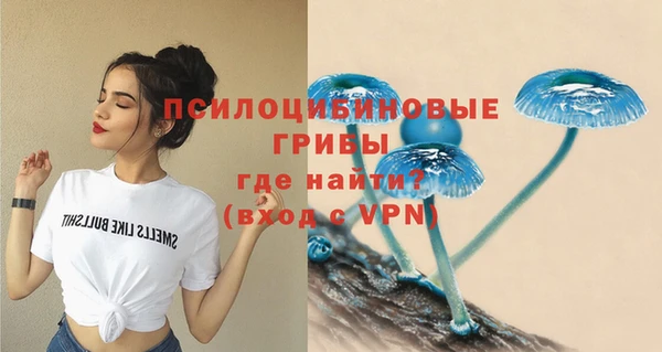 Альфа ПВП Балахна
