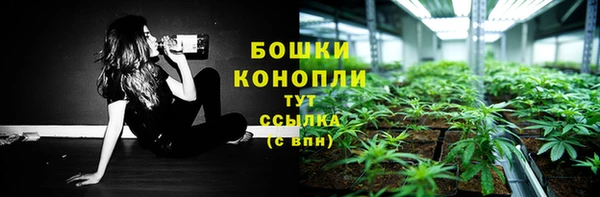 mdpv Козловка