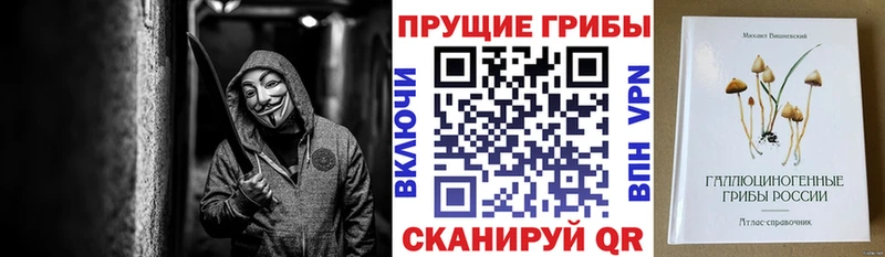закладки  Гатчина  hydra зеркало  Галлюциногенные грибы Cubensis 