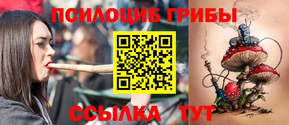 Псилоцибиновые грибы прущие грибы Гатчина